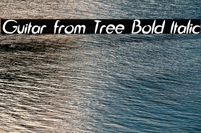 Guitar from Tree Bold Italic Font examples