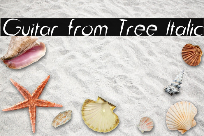 Guitar from Tree Italic Caratteri examples