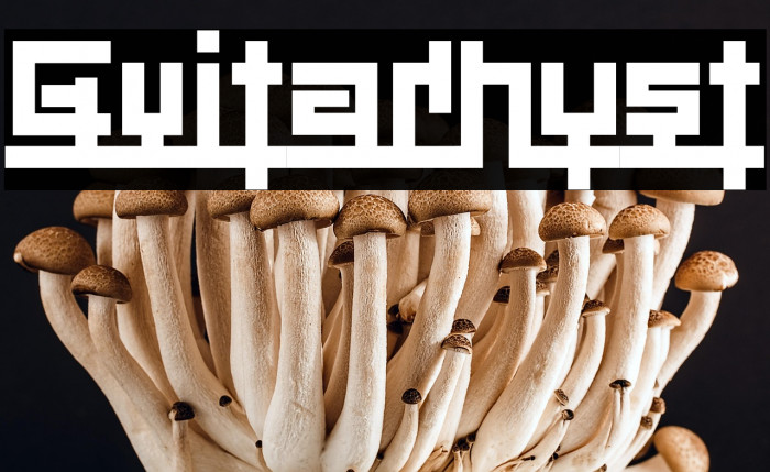 Guitarhyst Example 1