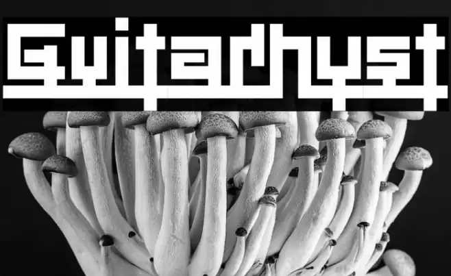 Guitarhyst 字体 examples