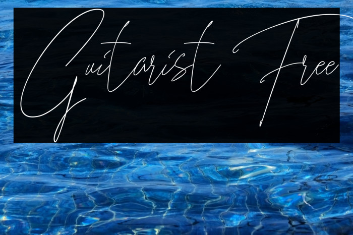 Guitarist Free Example 3