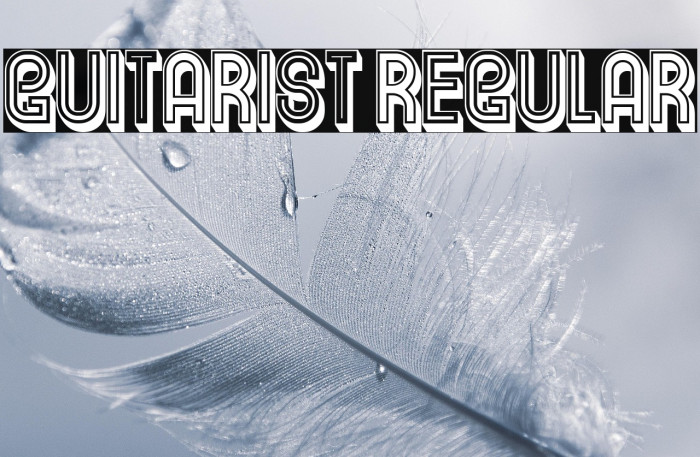 Guitarist Regular Example 1