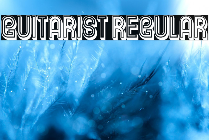 Guitarist Regular Example 2