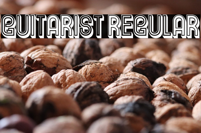 Guitarist Regular Example 3