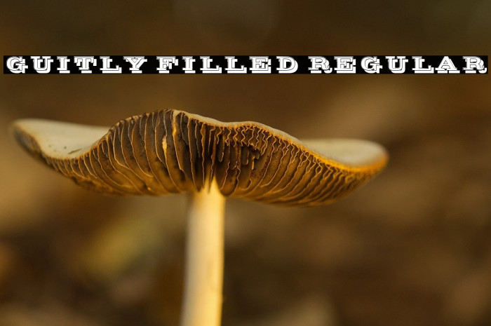 Guitly Filled Regular Example 1