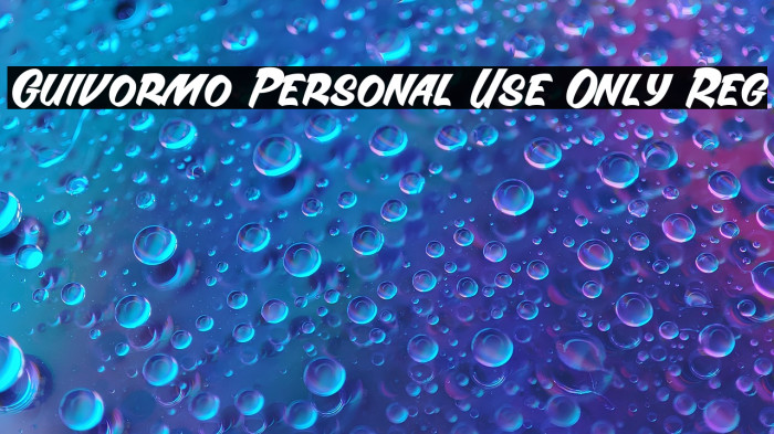 Guivormo Personal Use Only Reg Example 3