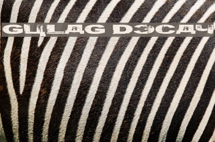 Gulag Decay Font examples