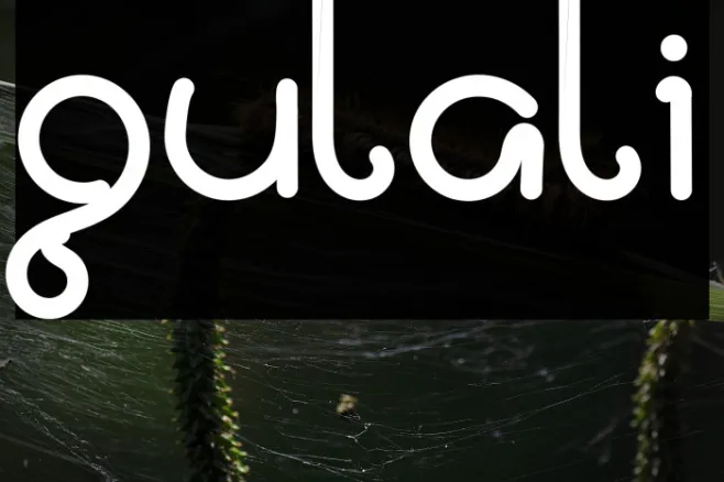 Gulali Example 3