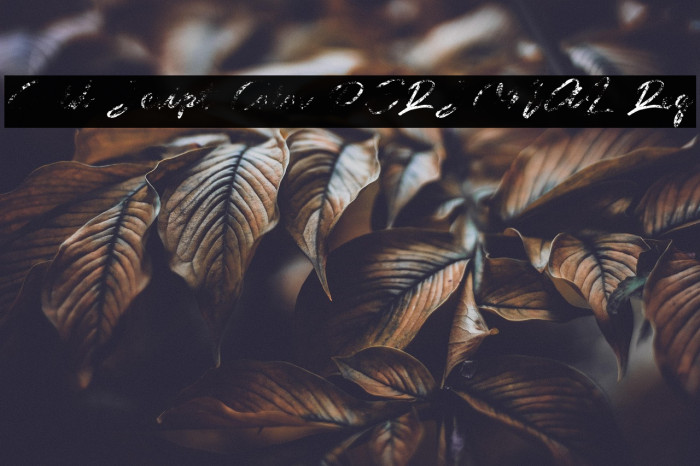 Guld Script Color PERSONAL Reg Example 1