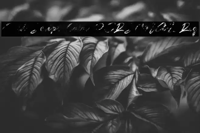 Guld Script Color PERSONAL Reg Font examples