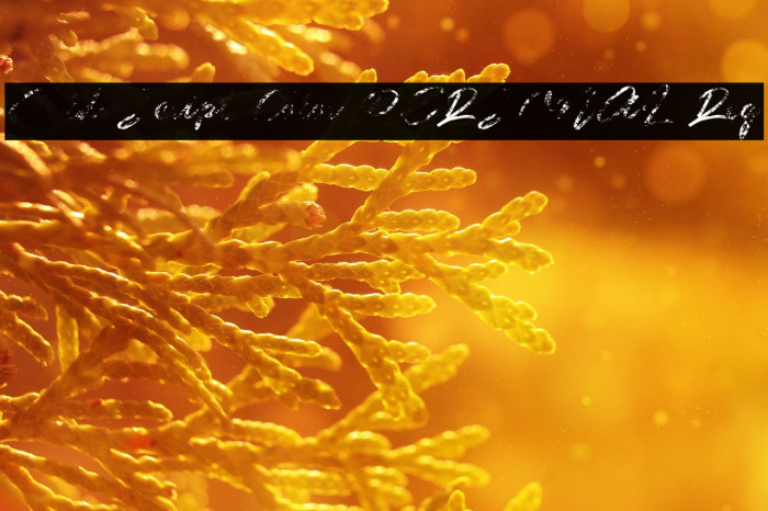 Guld Script Color PERSONAL Reg Example 3