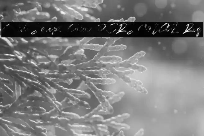 Guld Script Color PERSONAL Reg Font examples