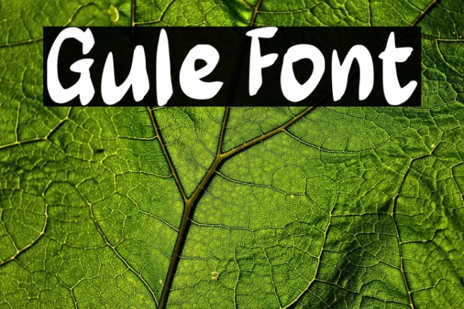 Gule Example 2