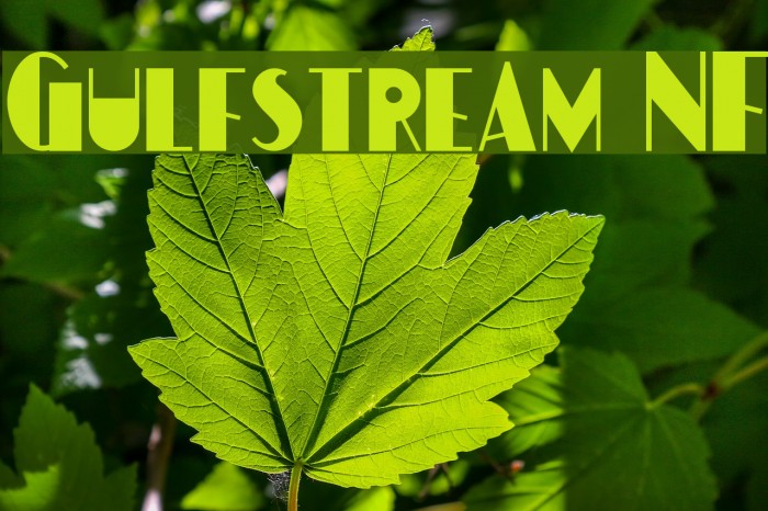 Gulfstream NF Font examples