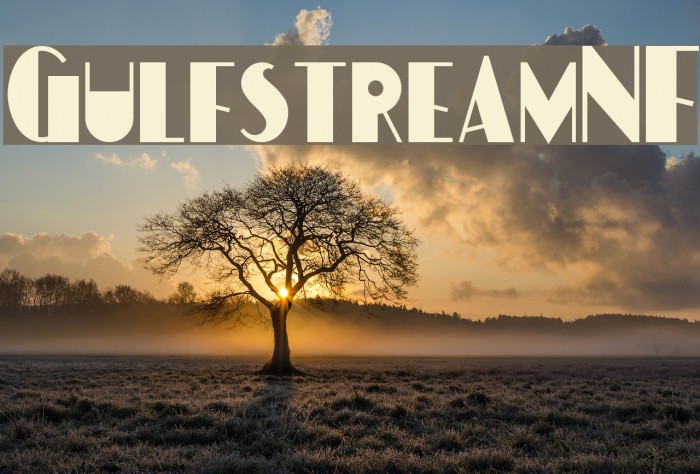 GulfstreamNF Example 1