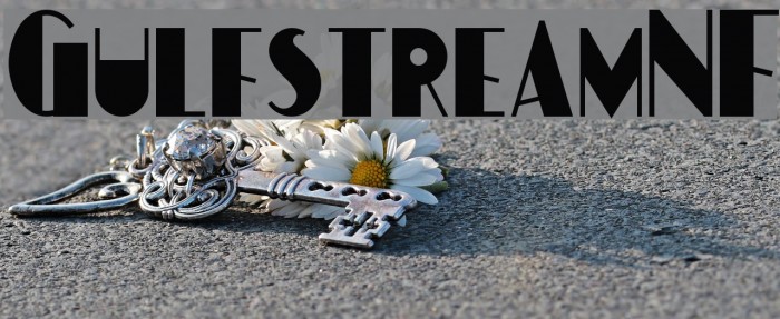 GulfstreamNF Example 2