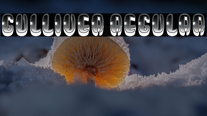 Gulliver Regular Example 1