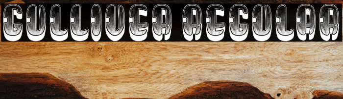 Gulliver Regular Example 3