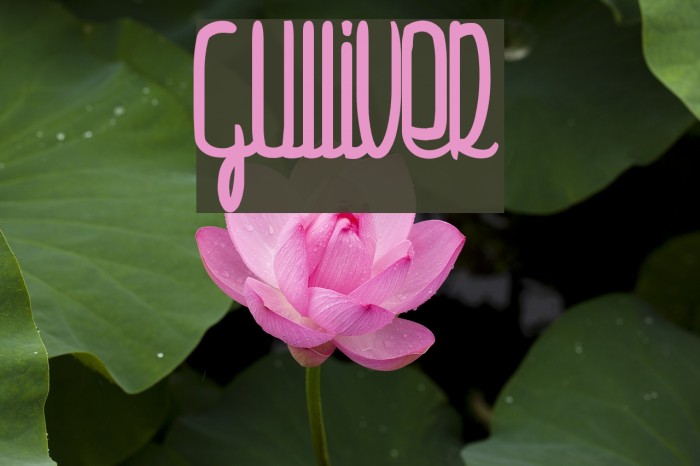 Gulliver Font examples