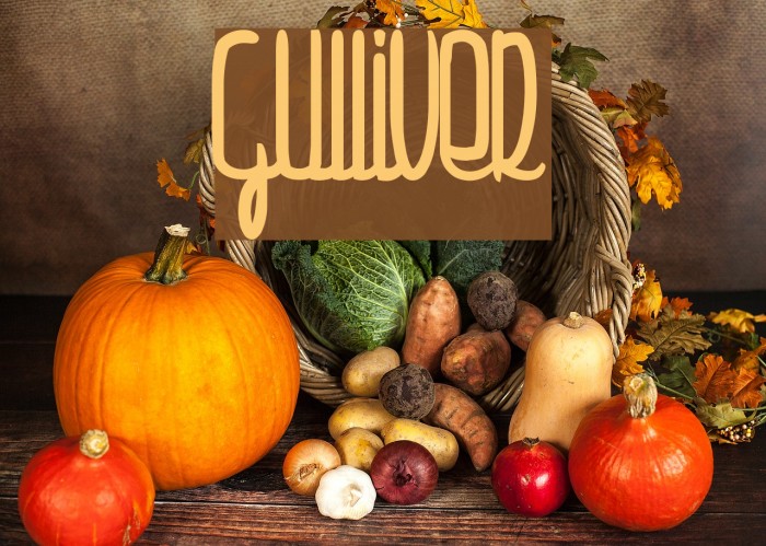 Gulliver Font examples