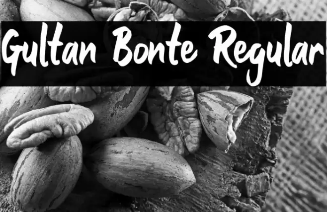 Gultan Bonte Regular Font examples