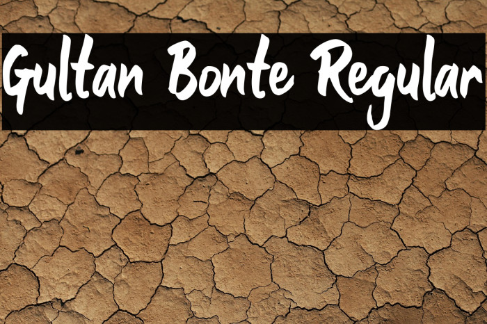 Gultan Bonte Regular Example 2