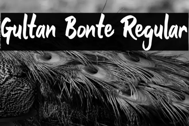 Gultan Bonte Regular Font examples