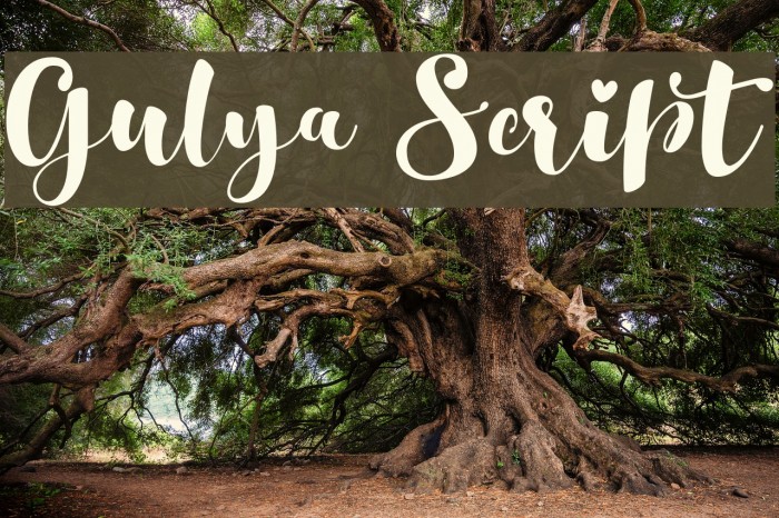 Gulya Script Font examples