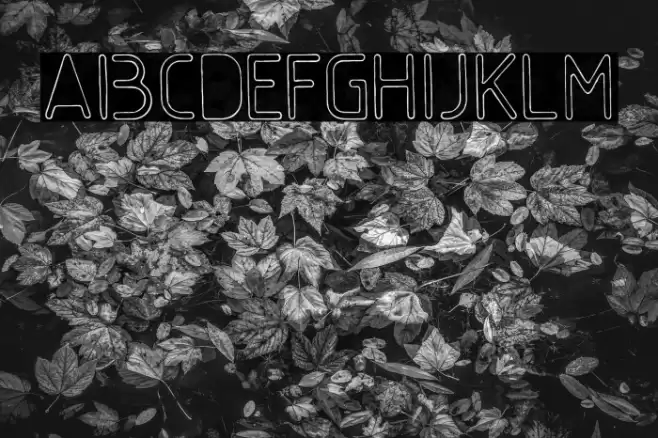 GumballSample-Regular Font examples