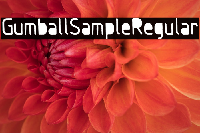 GumballSample-Regular Example 2