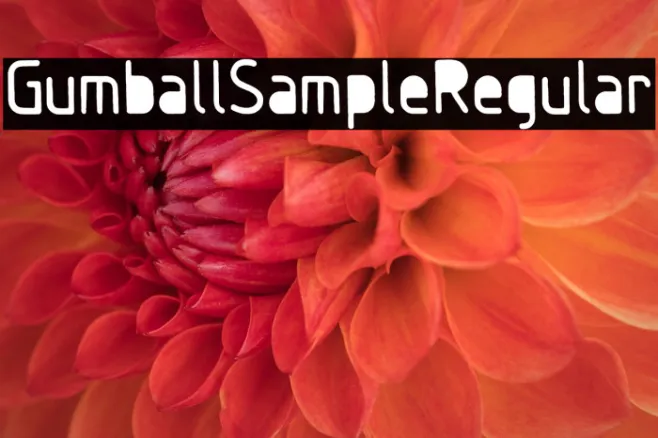 GumballSample-Regular Example 2