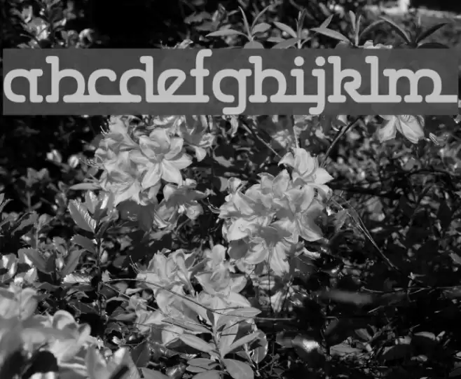 Gumbercules Font examples