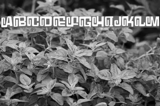 GumbleryDEMO Font examples