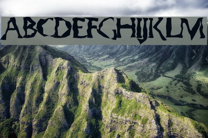 Gumbootcha Example 2