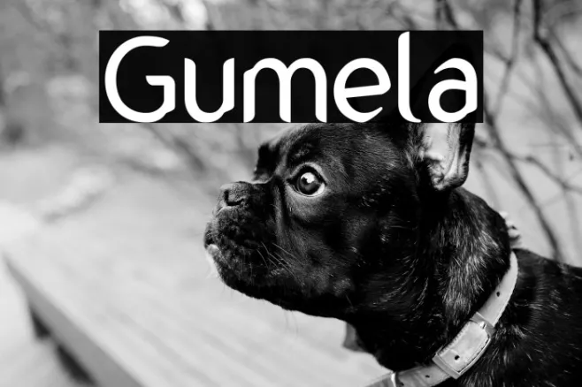 Gumela Example 3