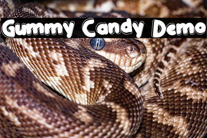 Gummy Candy Demo Example 1