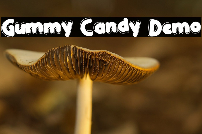 Gummy Candy Demo Example 2