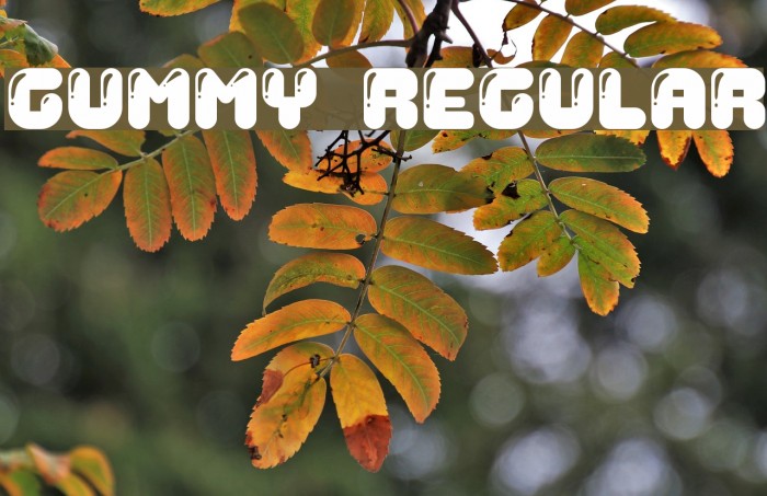 Gummy Regular Example 1