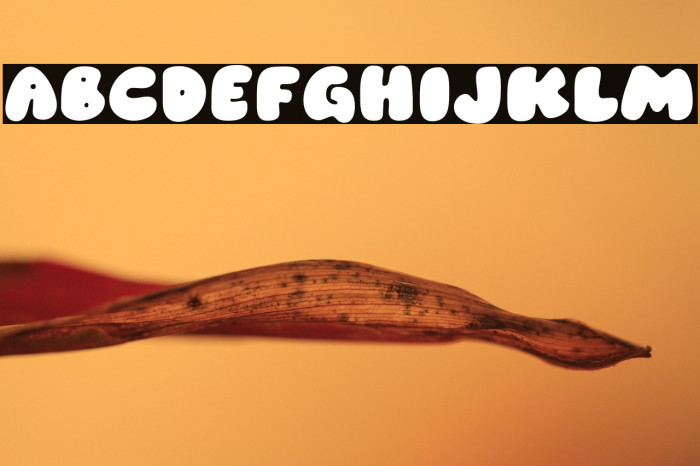 Gummy Sans Schriftart examples