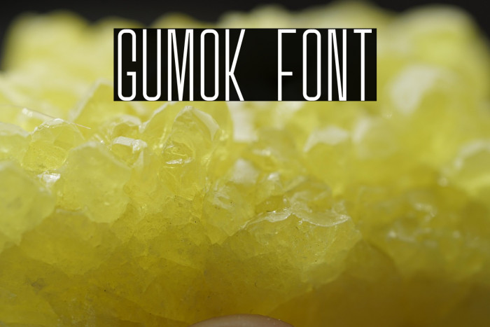 Gumok Example 3