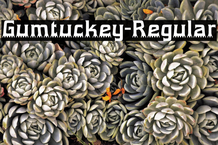 Gumtuckey-Regular Font examples
