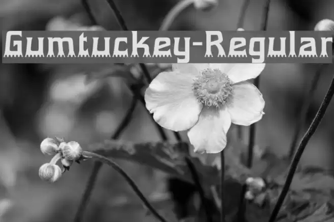Gumtuckey-Regular Font examples