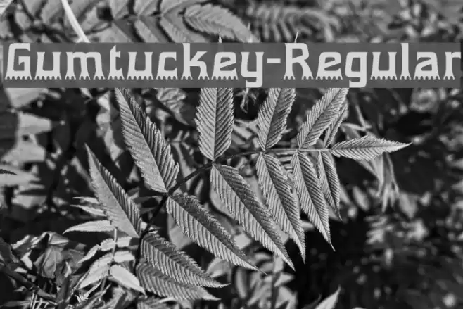 Gumtuckey-Regular Font examples