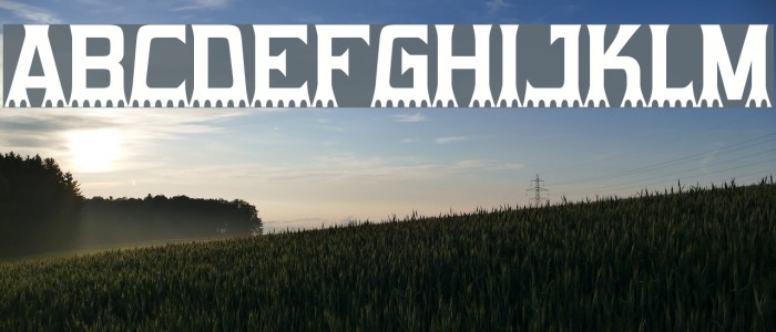 Gumtuckey Font examples