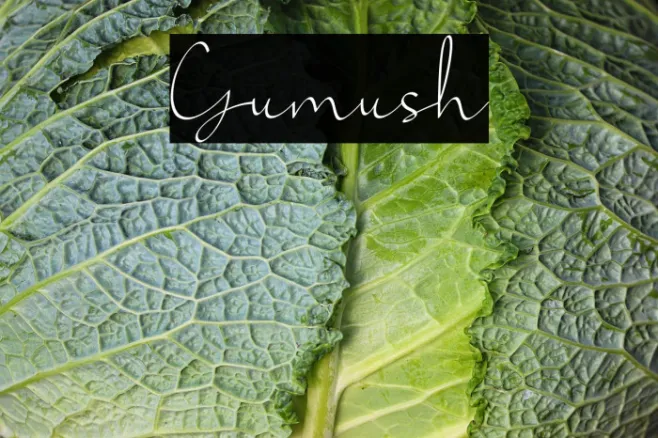 Gumush Example 1