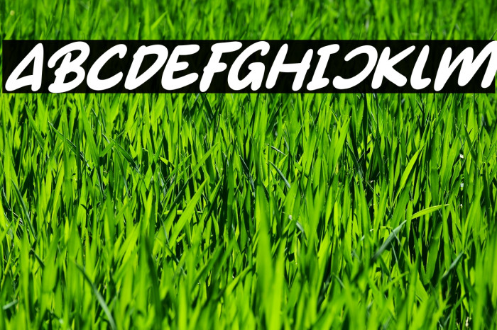 Gumy Monster Italic Example 1