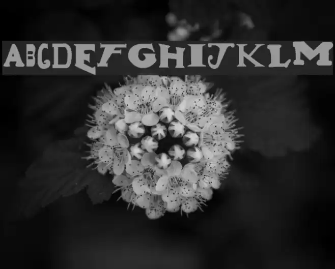 Gun Show Font examples