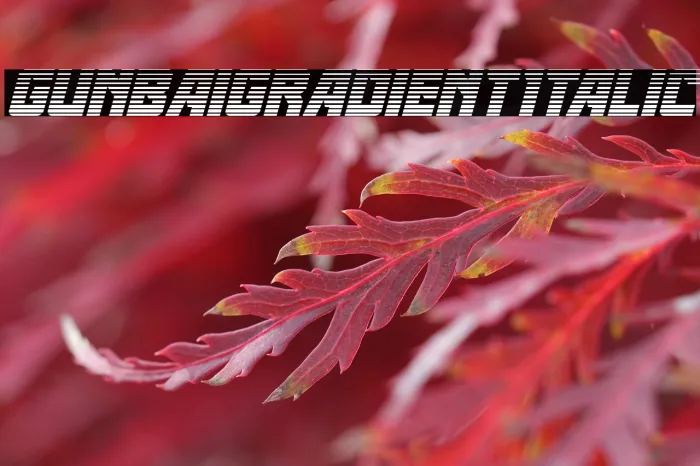 Gunbai Gradient Italic Example 1
