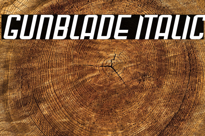 Gunblade Italic Example 1