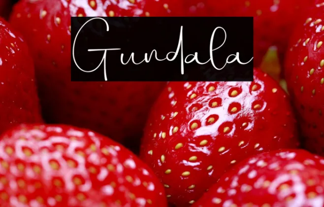 Gundala Example 2